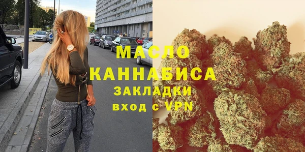 шишки Няндома