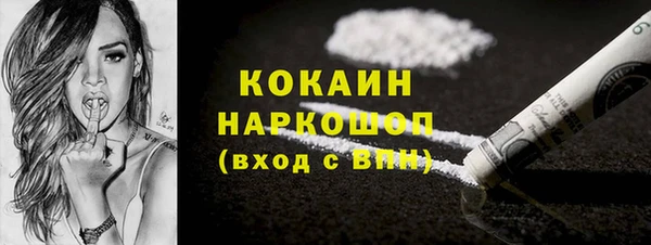 шишки Няндома