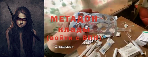 шишки Няндома