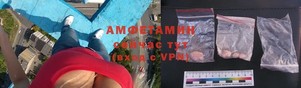 шишки Няндома