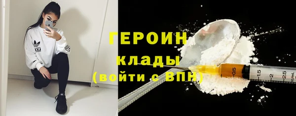 шишки Няндома