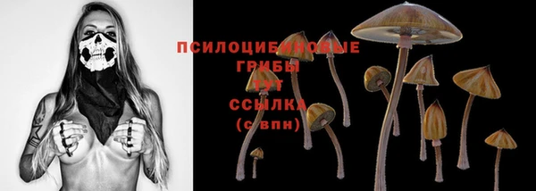 шишки Няндома