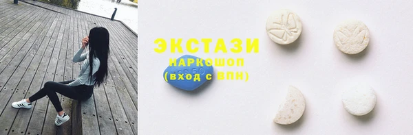 шишки Няндома
