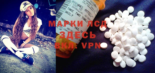 шишки Няндома