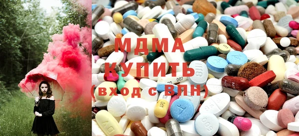 шишки Няндома