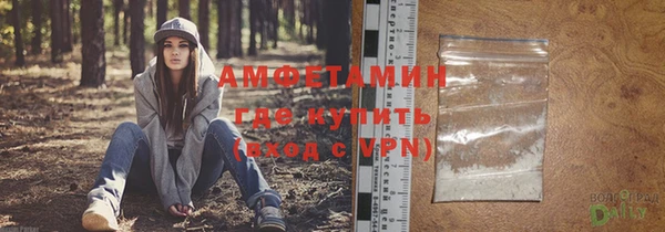 шишки Няндома