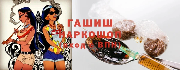 шишки Няндома