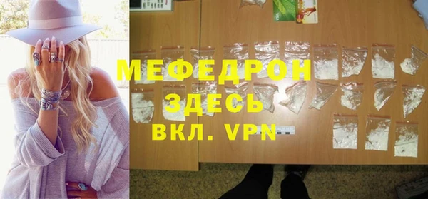 шишки Няндома