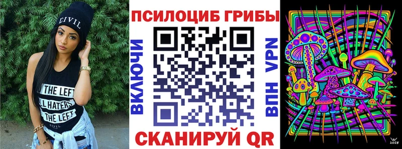 где купить наркоту  Холмск  Галлюциногенные грибы Psilocybe 